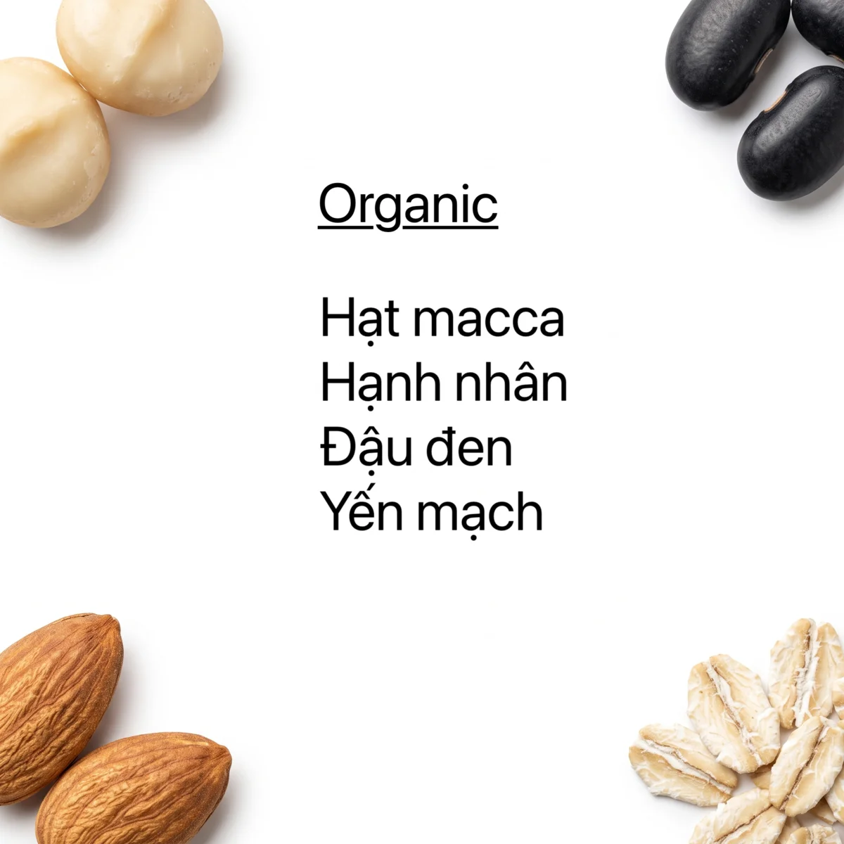 Mắc Ca - Hạnh Nhân
