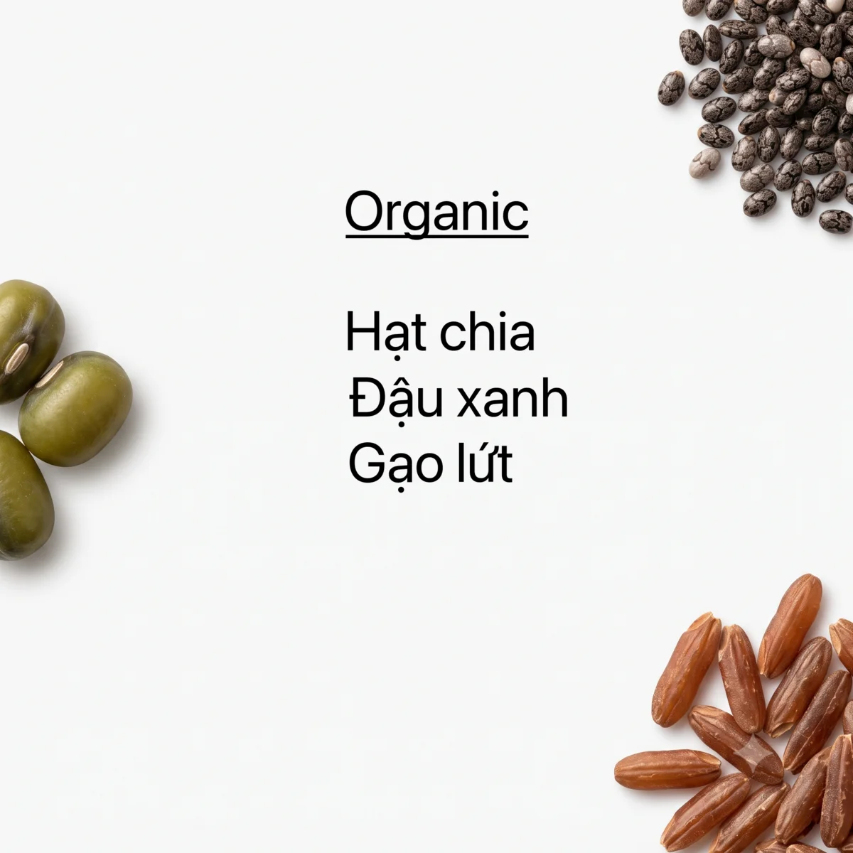 Hạt Chia