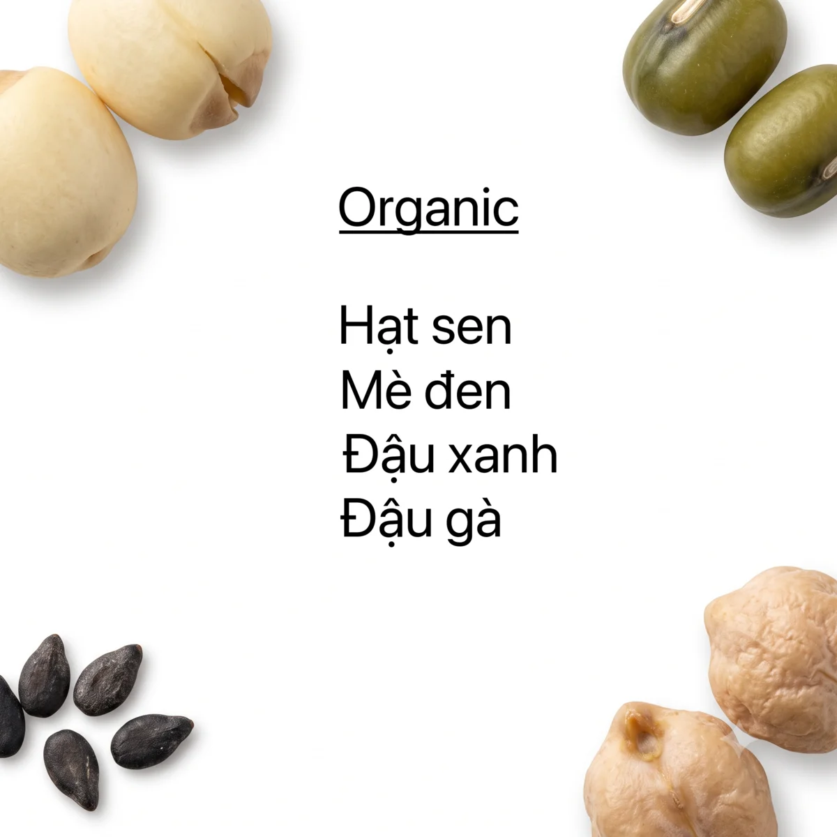 Hạt Sen