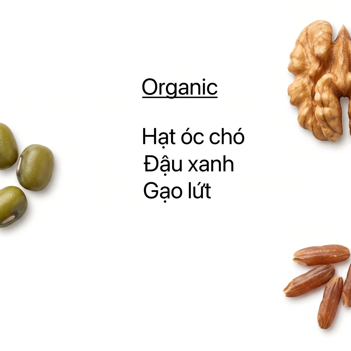 Óc Chó